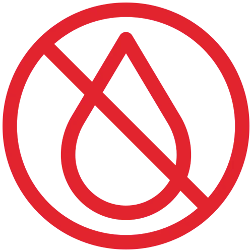 Bulgarian Split Squat